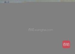 水果派的做法图解20