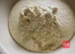 玉米面全麦老馒头的做法图解7