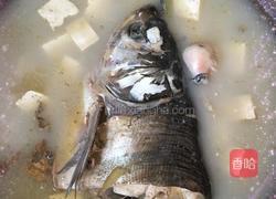 清炖豆腐鱼头汤的做法图解2