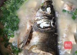 清炖豆腐鱼头汤的做法图解3