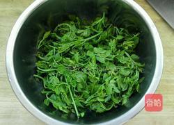 炸花椒芽的做法图解3