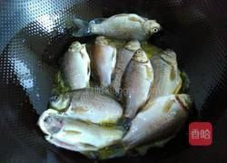 野生鲫鱼豆腐汤的做法图解3