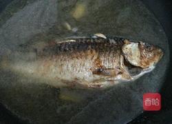 豆腐鲫鱼汤的做法图解5