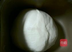 家庭自制8寸9寸批萨饼皮披萨酱批萨的做法图解2