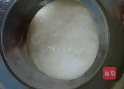 Pizza Crust Making Illustration 5