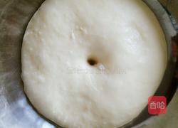 批萨饼皮的制作的做法图解6