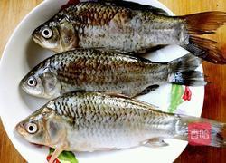 香浓鲫鱼汤的做法图解1