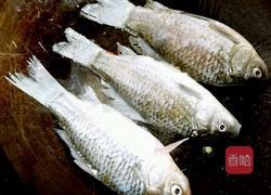 香浓鲫鱼汤的做法图解3