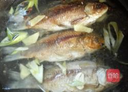 香浓鲫鱼汤的做法图解6