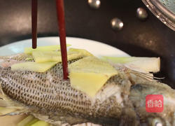 清蒸鲈鱼的做法图解5