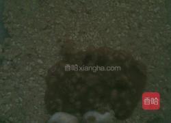 银鹭八宝粥金线虫面包（咖喱椒盐鱼泥肠）的做法图解3