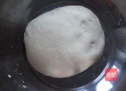 羊肉胡萝卜饺子的做法图解1