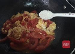 番茄炒鸡蛋的做法图解6