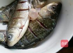 鲫鱼豆腐汤的做法图解1