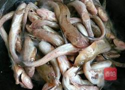 炖胖条鱼的做法图解5