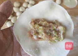 三鲜锅贴的做法图解15