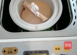 面包机自制巧克力牛奶冰淇淋的做法图解5