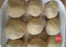 奶酪夹心餐包的做法图解2