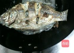 香煎非洲鲫的做法图解3