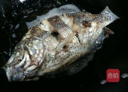 香煎非洲鲫的做法图解4