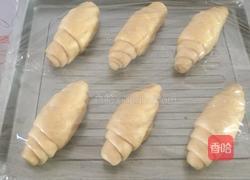 黄油面包卷的做法图解14