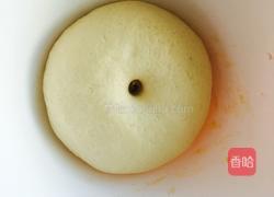 鲜奶馒头的做法图解5