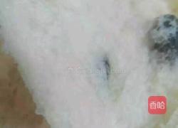 面包机版葡萄干牛奶面包的做法图解7