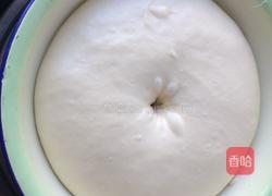 中种法面包的做法图解7