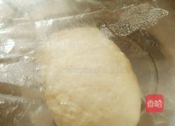 阿根廷红虾披萨的做法图解5