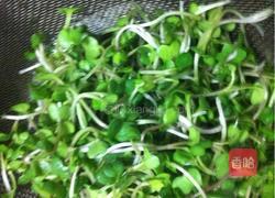 鸡丝萝卜苗的做法图解1