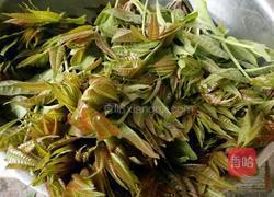 炒香椿的做法图解1