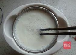 自制酸奶的做法图解4