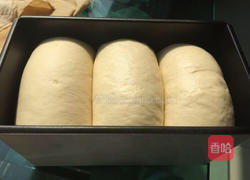 面包的诱惑的做法图解14