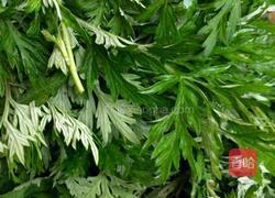 艾草鸡蛋煎饼的做法图解1