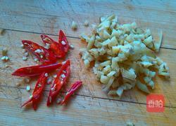 蚝油青笋熘鸡片的做法图解4