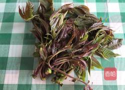 香椿摊鸡蛋的做法图解1