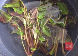 香椿摊鸡蛋的做法图解2