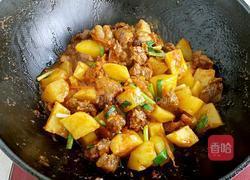 番茄土豆烧牛腩的做法图解11