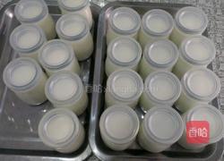 自制酸奶(烤箱版)的做法图解4