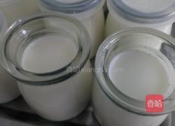 自制酸奶(烤箱版)的做法图解6