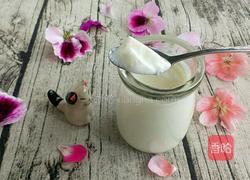 自制酸奶(烤箱版)的做法图解7