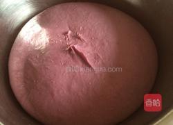 紫薯果干面包的做法图解2