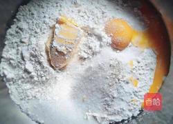 什锦披萨的做法图解1