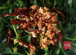 蒜香苜蓿的做法图解3