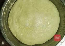 纯手工肉松红豆馅面包的做法图解3