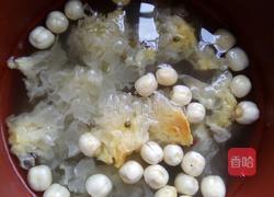 莲子银耳粥的做法图解4