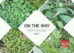 广东擂茶的做法图解3