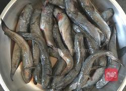 红菇跳跳鱼汤的做法图解1