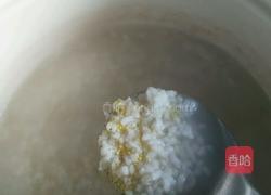 白粥的做法图解3