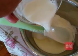 芒果蛋挞的做法图解4